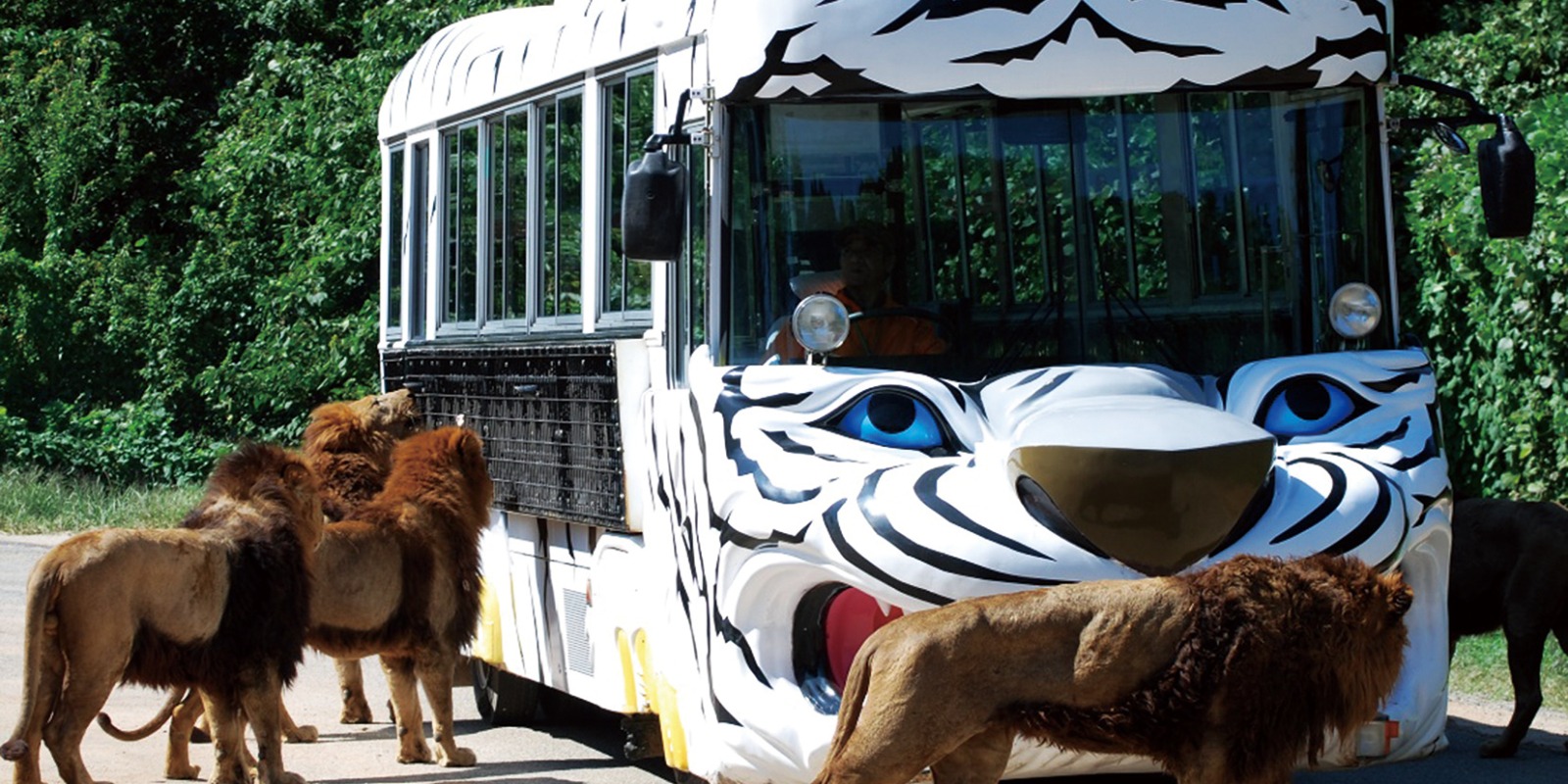 観光関連事業をサポートいたします