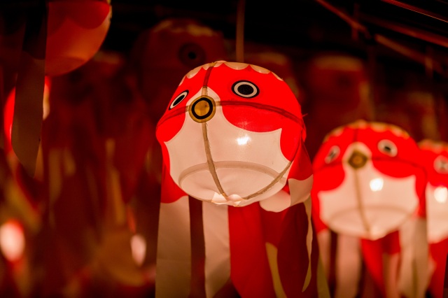 幻想的な柳井金魚ちょうちん祭り