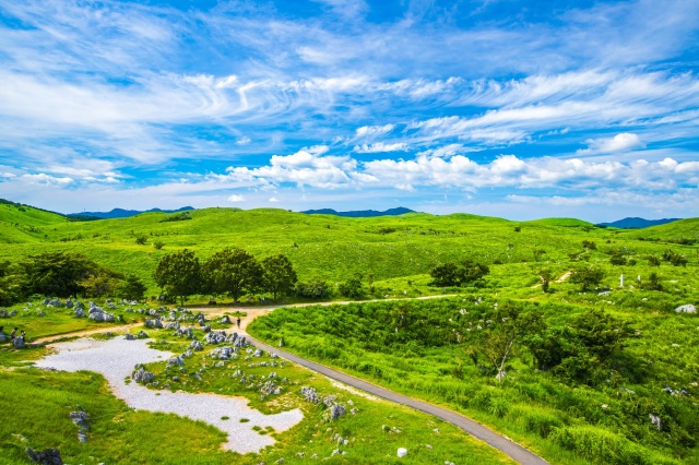 日本最大級!カルスト台地「秋吉台」の楽しみ方