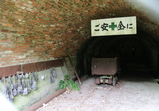 日本では珍しい