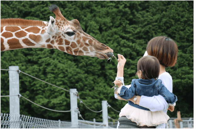 子供も大人も大満足!家族みんなで楽しめる山口のお出かけ観光スポット22ヶ所