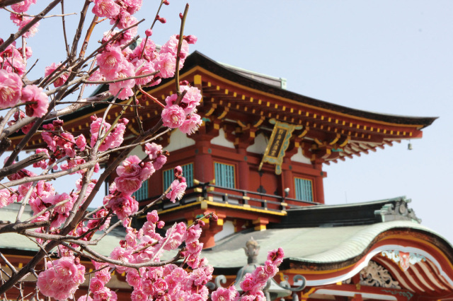 【2026年最新版】名所から穴場まで、山口県内「梅の花」人気スポットランキング