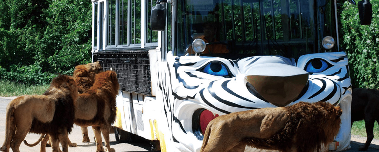 家族で楽しむ秋吉台サファリランド